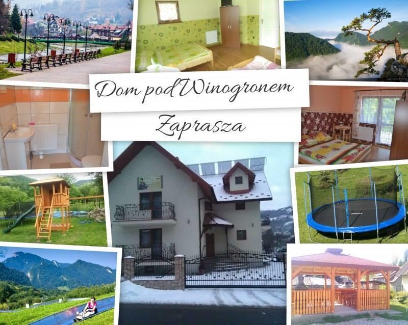 Dom Pod Winogronem Apartment Szczawnica Exterior photo